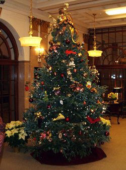 Reed Island Farm Tree in the Office of the US Seretary Of Agriculture